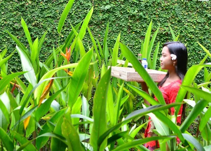 Griya Sriwedari أوبود